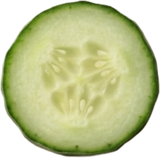 Concombre