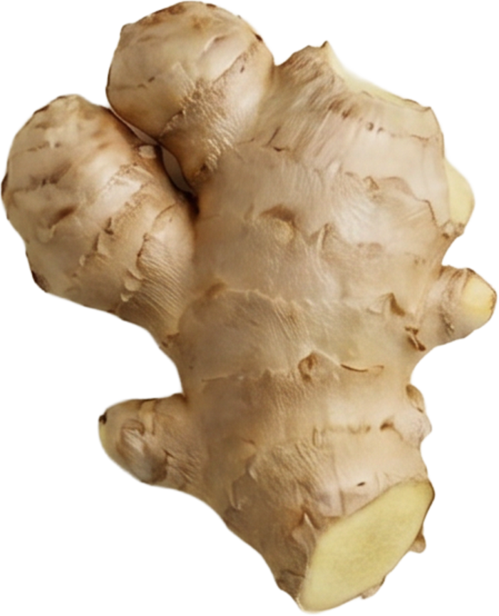Gingembre